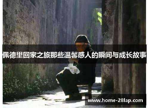 佩德里回家之旅那些温馨感人的瞬间与成长故事