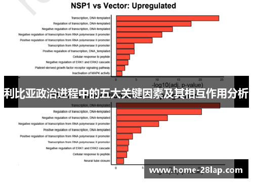利比亚政治进程中的五大关键因素及其相互作用分析